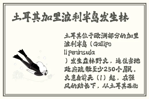 开襟旗袍做运动狂飙乳液
